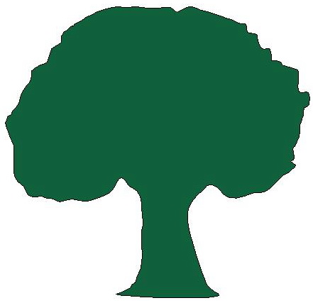Quercus Arqueología